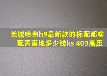 长城哈弗h9最新款的标配都啥配置落地多少钱ks 403高压